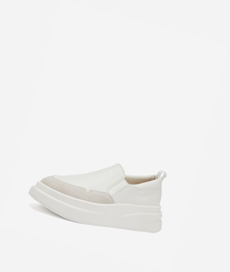 Low-Top Sneakers ASH Intox Femme Blanche Blanche | ANG-564172