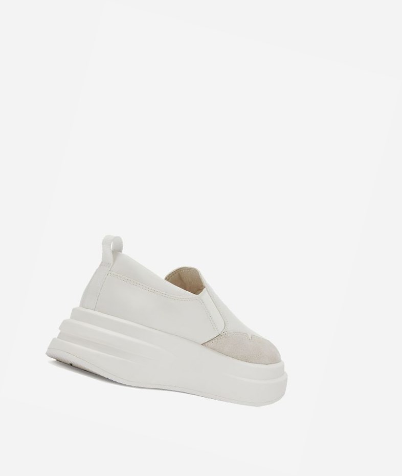 Low-Top Sneakers ASH Intox Femme Blanche Blanche | ANG-564172