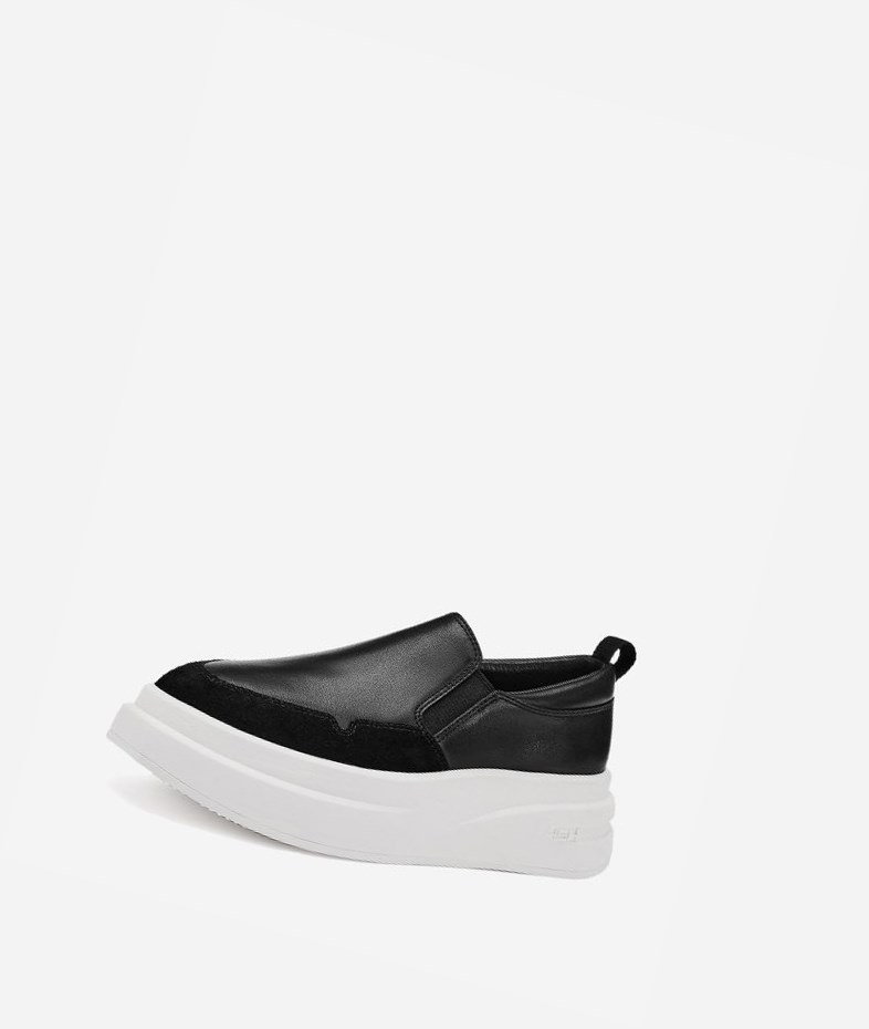 Low-Top Sneakers ASH Intox Femme Noir | KWU-310489