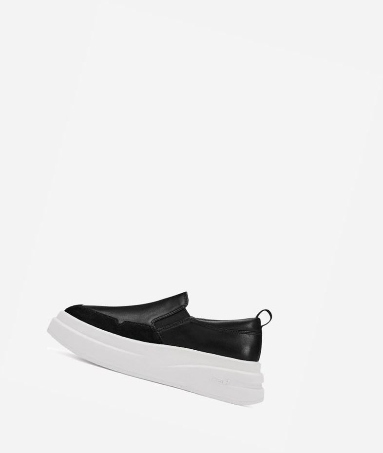 Low-Top Sneakers ASH Intox Femme Noir | KWU-310489