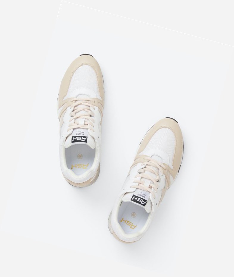 Low-Top Sneakers ASH Lux Bis Femme Blanche | UXL-341576