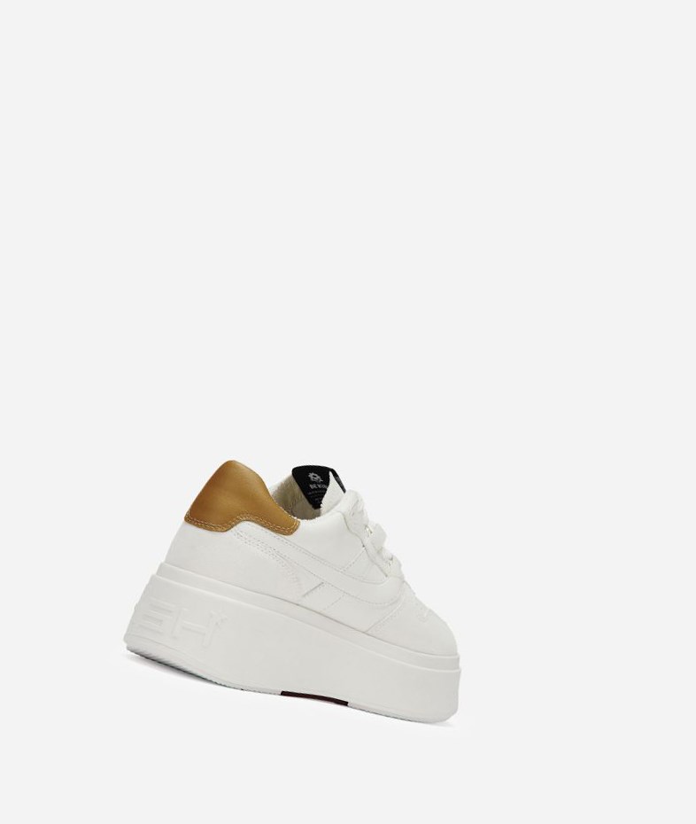 Low-Top Sneakers ASH Match Femme Blanche Marron | ASU-172356