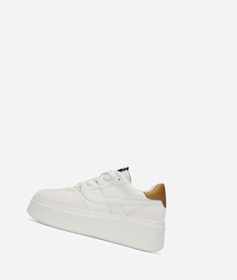 Low-Top Sneakers ASH Match Femme Blanche Marron | ASU-172356