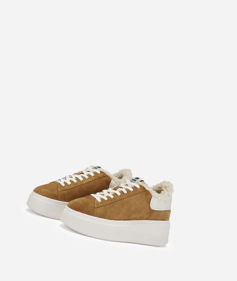 Low-Top Sneakers ASH Moby Be Kind Fur Femme Marron Blanche | NPU-502379