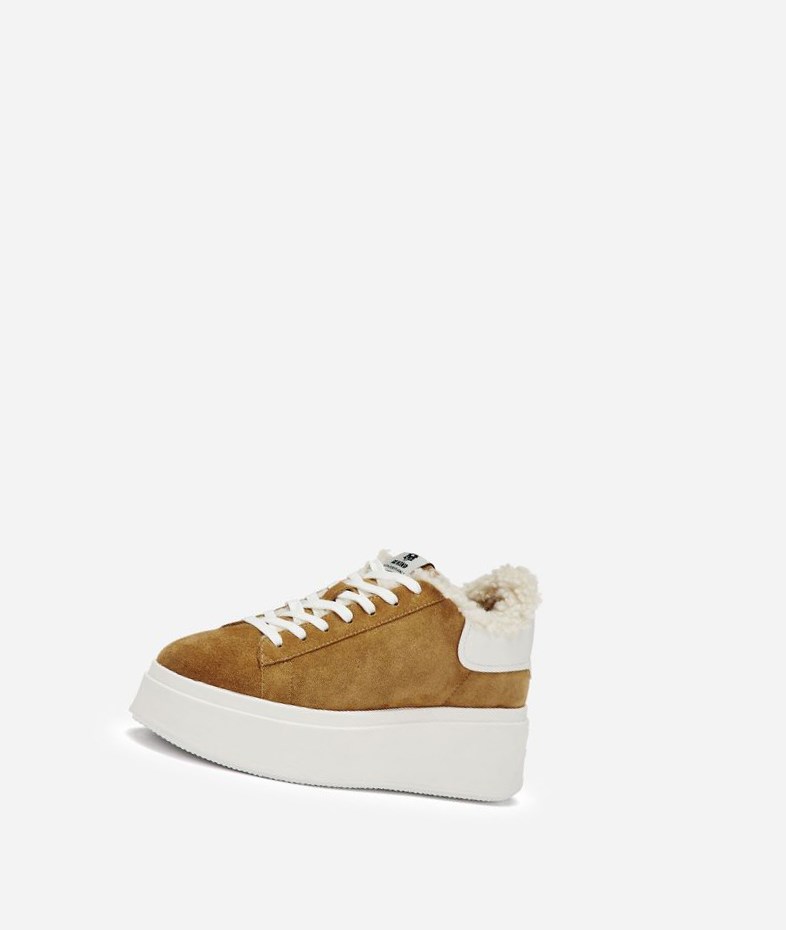 Low-Top Sneakers ASH Moby Be Kind Fur Femme Marron Blanche | NPU-502379