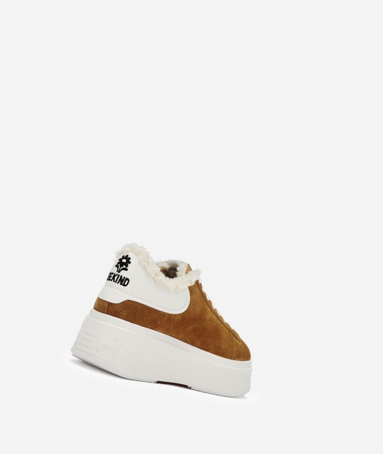 Low-Top Sneakers ASH Moby Be Kind Fur Femme Marron Blanche | NPU-502379