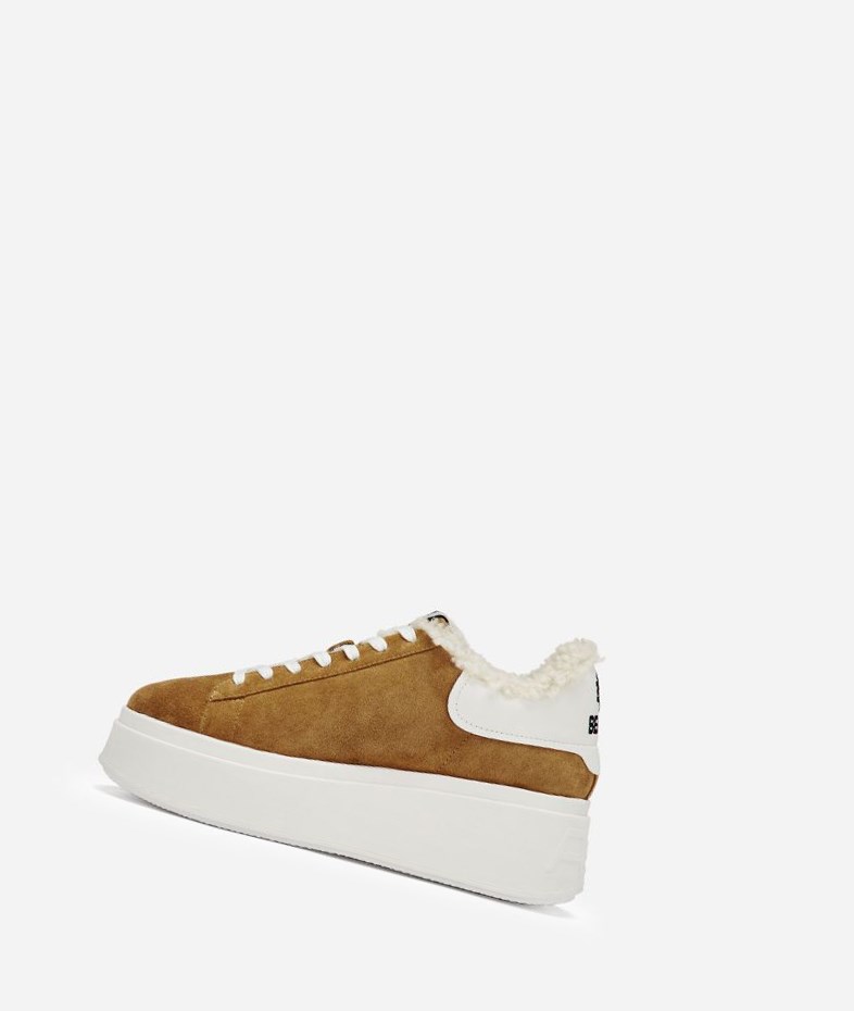 Low-Top Sneakers ASH Moby Be Kind Fur Femme Marron Blanche | NPU-502379