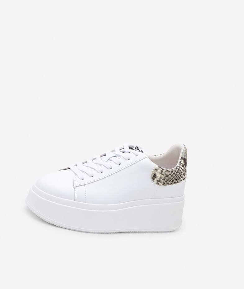 Low-Top Sneakers ASH Moby Femme Blanche | EQG-051843