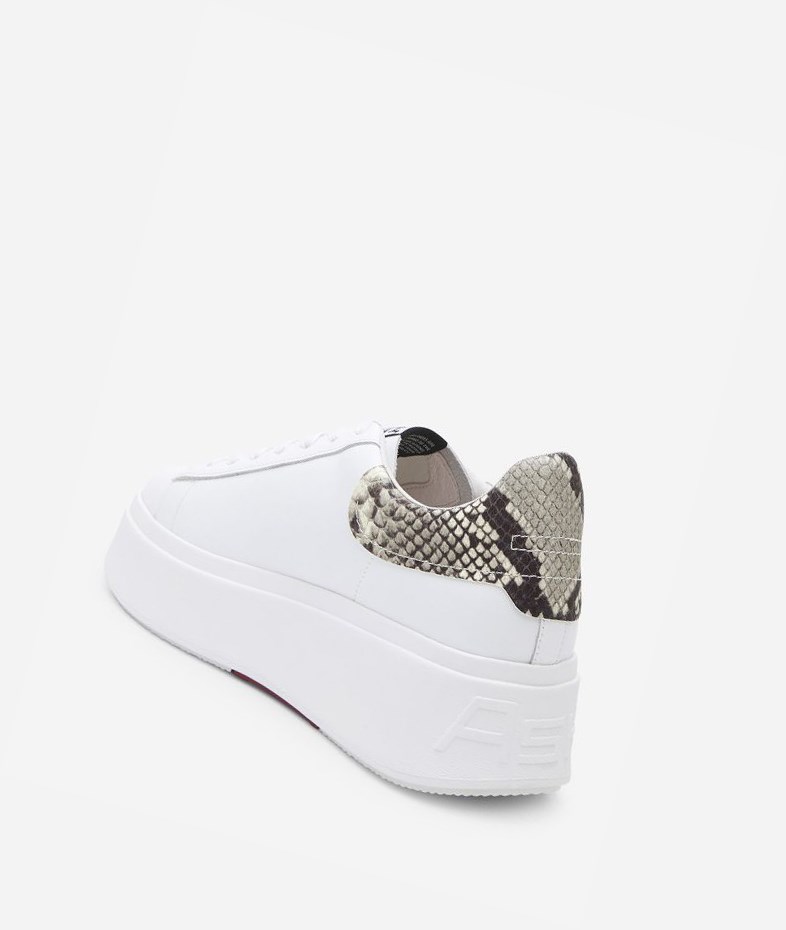 Low-Top Sneakers ASH Moby Femme Blanche | EQG-051843