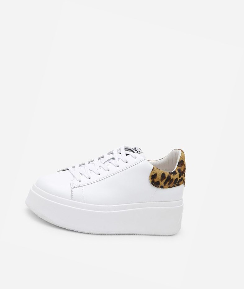 Low-Top Sneakers ASH Moby Femme Blanche Noir | GZB-581749