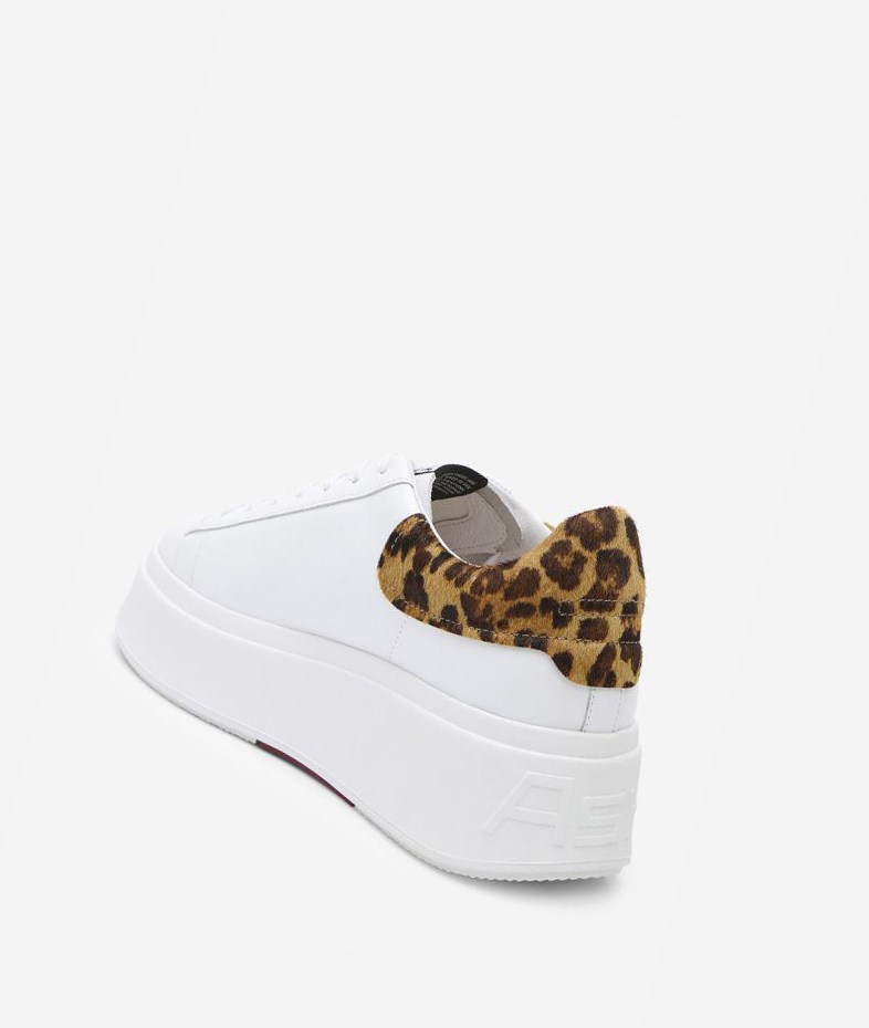 Low-Top Sneakers ASH Moby Femme Blanche Noir | GZB-581749