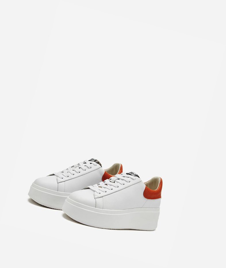 Low-Top Sneakers ASH Moby Femme Blanche | SYU-459210