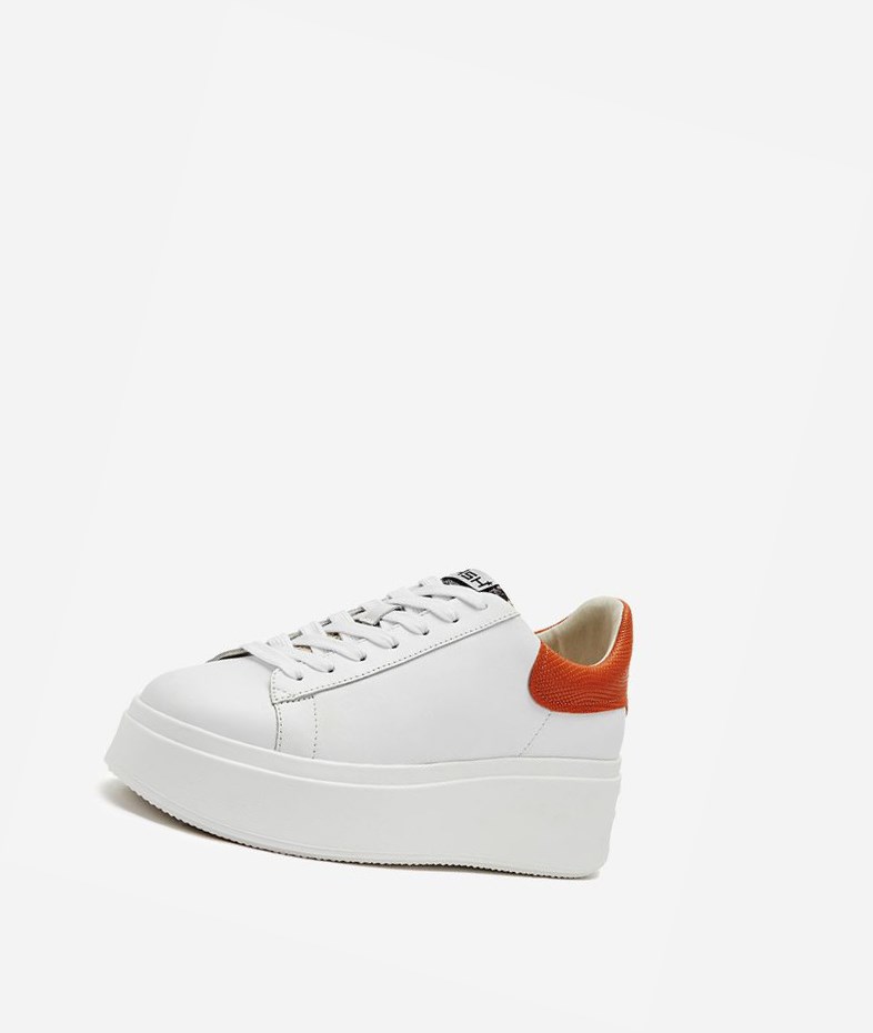 Low-Top Sneakers ASH Moby Femme Blanche | SYU-459210