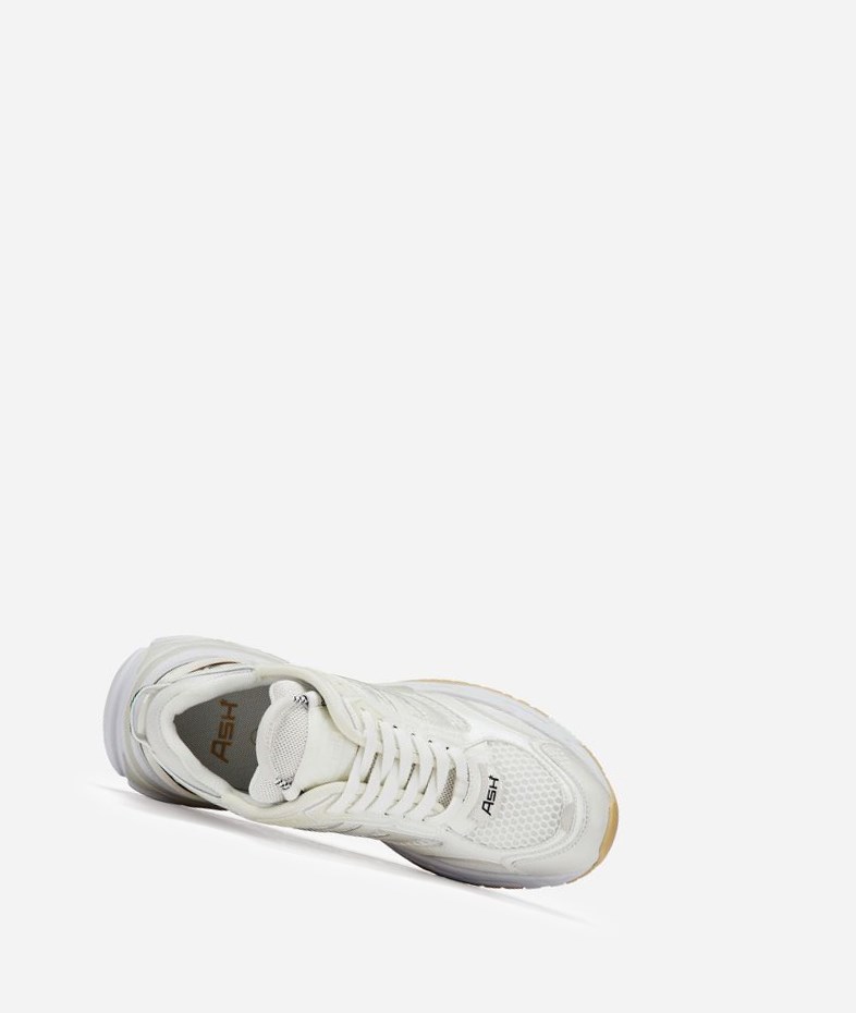 Low-Top Sneakers ASH Race Femme Blanche | FXW-175230