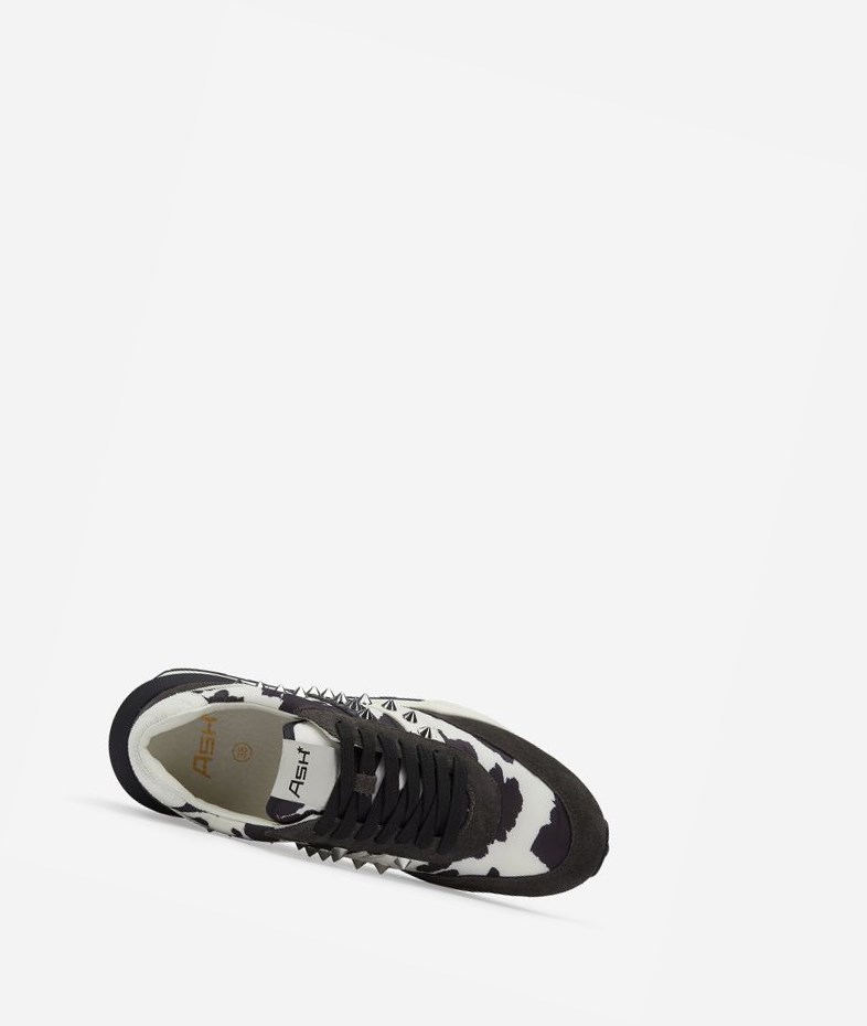 Low-Top Sneakers ASH Spider 168 Studs Femme Noir | NGY-769238