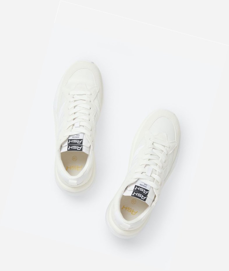 Low-Top Sneakers ASH Spider 620-01 Femme Blanche Blanche | SEC-457106