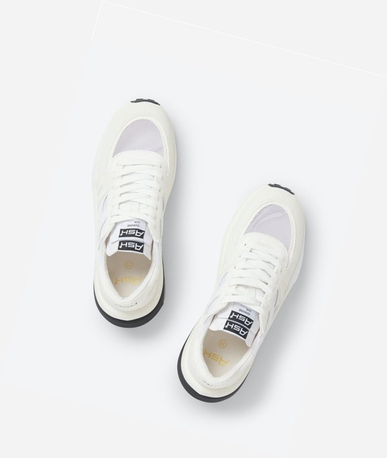 Low-Top Sneakers ASH Spider 620-02 Femme Blanche | YCA-231476