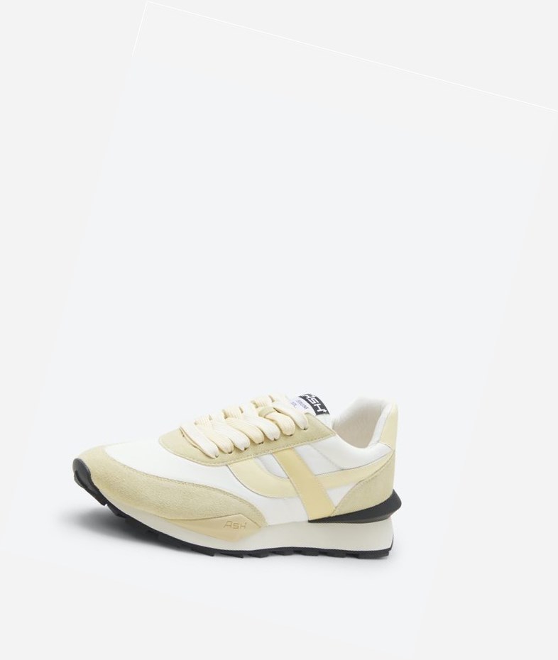 Low-Top Sneakers ASH Spider Femme Blanche | VYF-092831