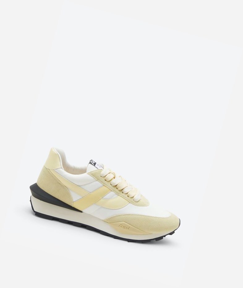 Low-Top Sneakers ASH Spider Femme Blanche | VYF-092831