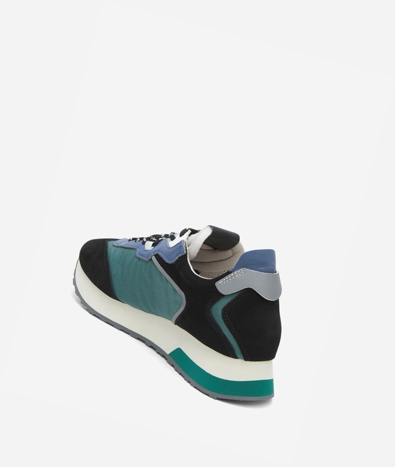 Low-Top Sneakers ASH Tiger Femme Noir Vert | YJU-389750