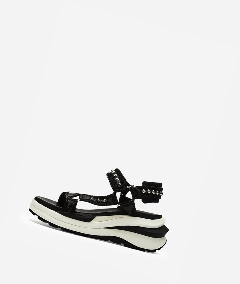 Sneaker Sandals ASH Shogun Femme Noir | RMK-056231